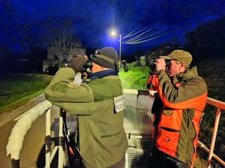 Au cœur de la nuit, la traque des sangliers